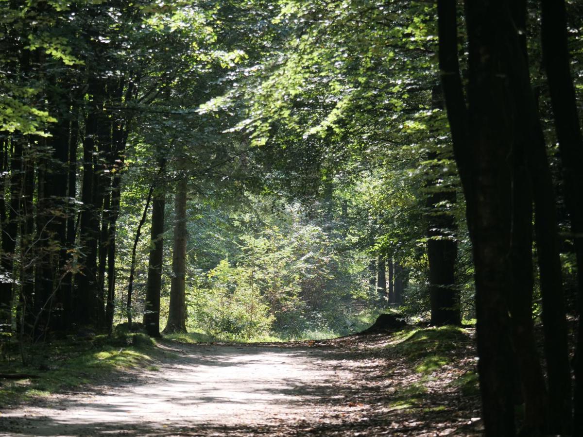 La Vita Veluwe Вапенвелд Екстер'єр фото